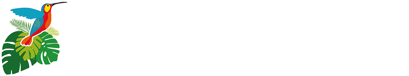 Wandari